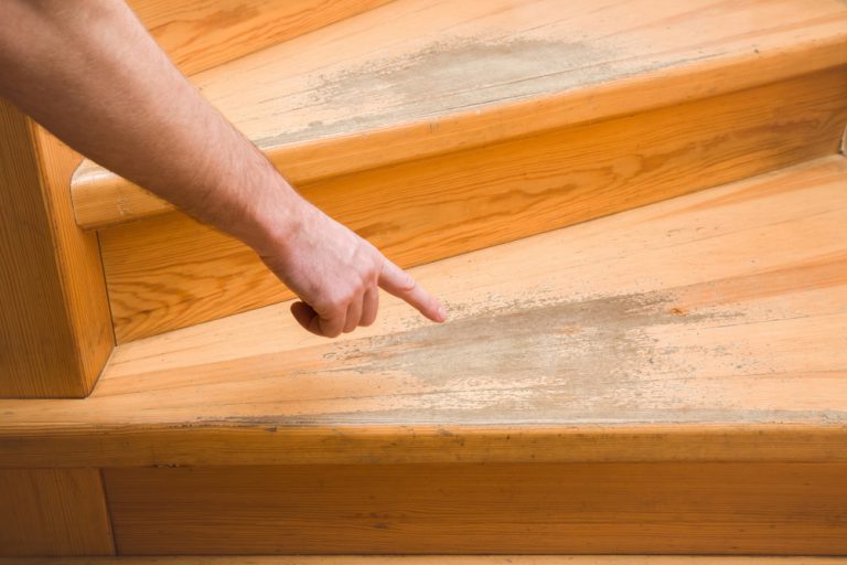 Küche abbauen und wiederaufbauen lassen » Kosten und Preise