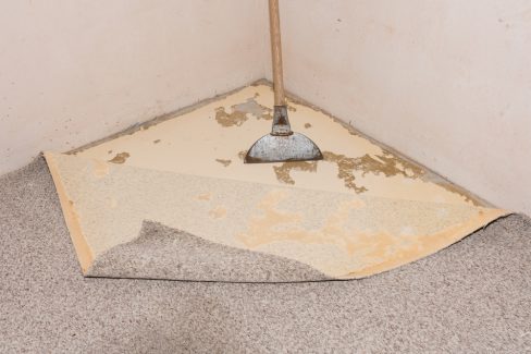 teppichboden-entfernen-kosten
