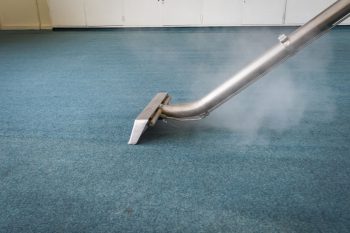 Teppichreinigung Kostenfaktoren Preisbeispiele Und Mehr