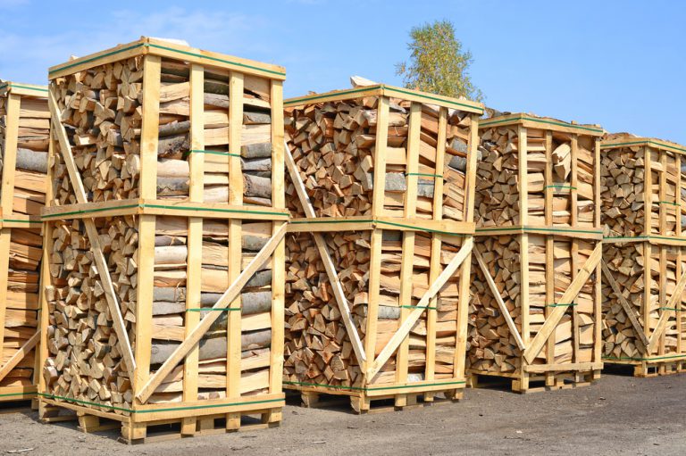 Brennholz » Preise, Kosten, Spartipps und mehr
