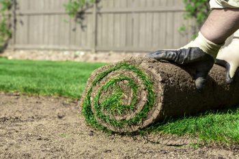 Garten Anlegen Diese Kosten Kommen Auf Sie Zu