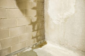 mauerwerkstrockenlegung-kosten-lfdm
