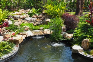 34+ Kosten Teich Anlegen, Sie möchten sich einen gartenteich zulegen