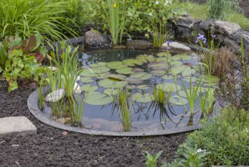 gartenteich-anlegen-kosten