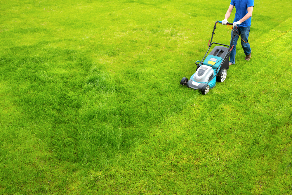 Gartenpflege » Mit diesen Kosten können Sie rechnen