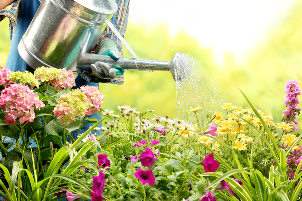 Gartenpflege » Mit diesen Kosten können Sie rechnen