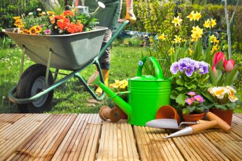 Gartenpflege » Mit diesen Kosten können Sie rechnen