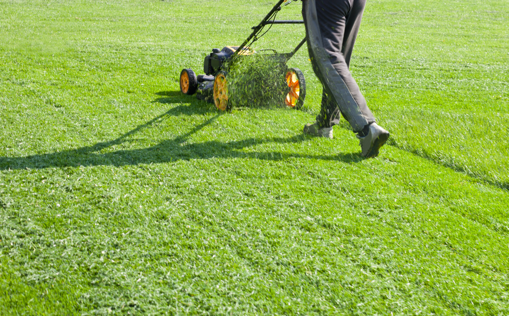 cut grass without a mower