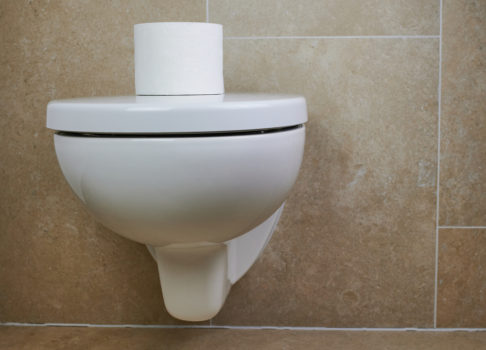 toilette-einbauen-kosten