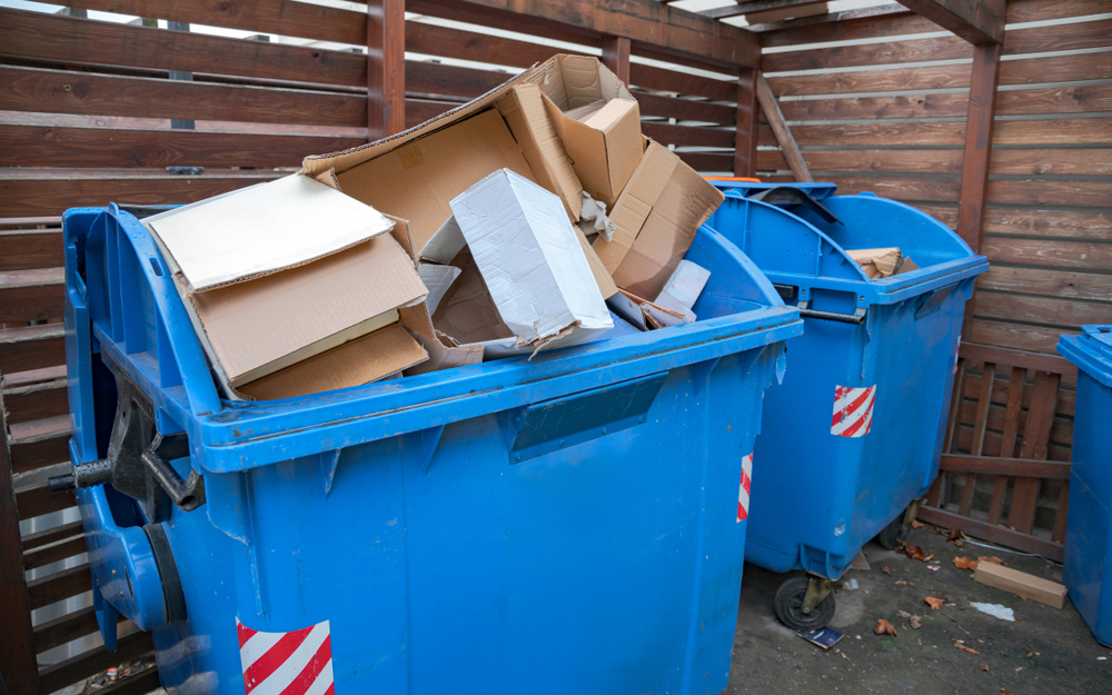Blaue Tonne » Mit diesen Kosten müssen Sie rechnen