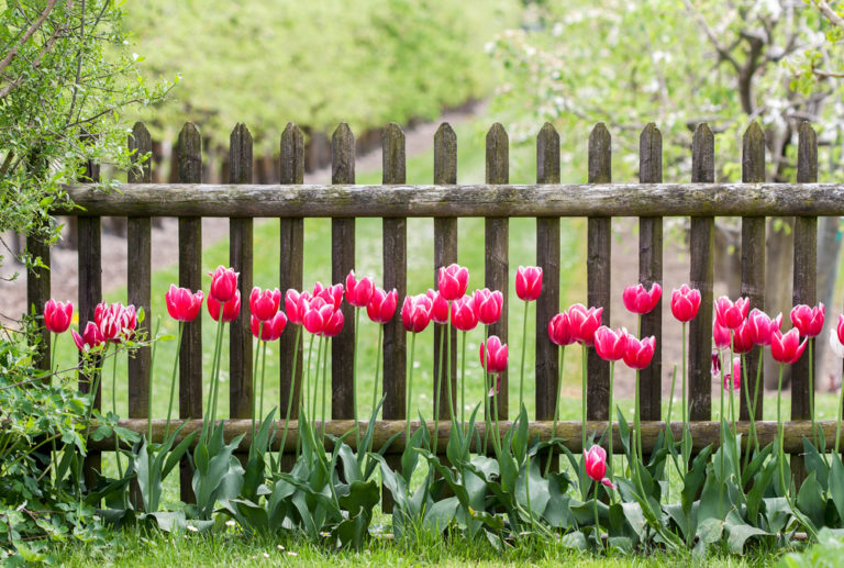 Sondernutzungsrecht für Gartenzaun » Diese Kosten fallen an