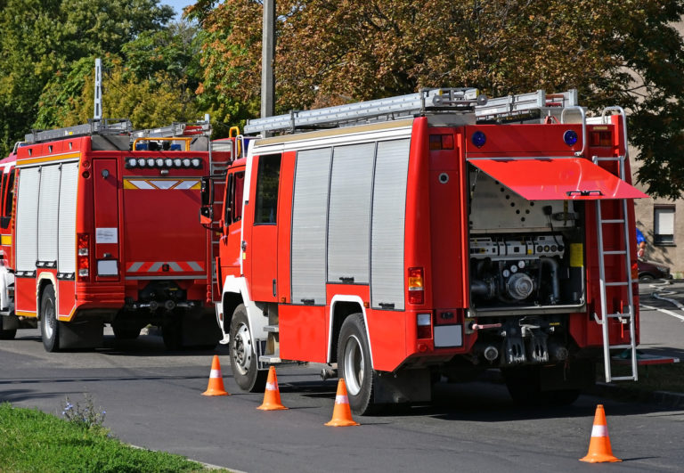 Feuerwehr muss Baum fällen » Mit diesen Kosten müssen Sie ...