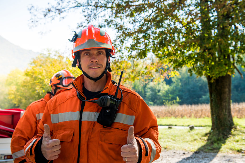 Feuerwehr muss Baum fällen » Mit diesen Kosten müssen Sie